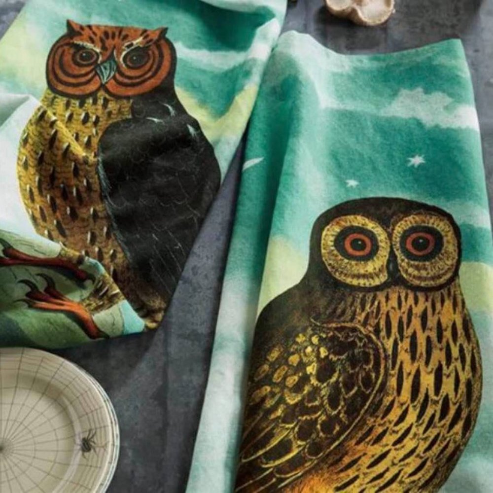 What a Hoot Owl Print Tea Towel Set John Derian